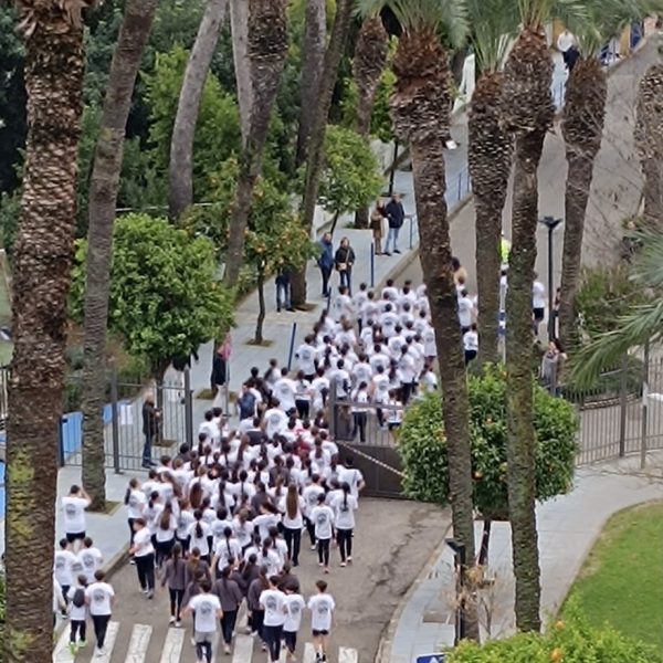 El Cross de Navidad reúne a alumnos, familias y antiguos alumnos en una fiesta de deporte e ilusión